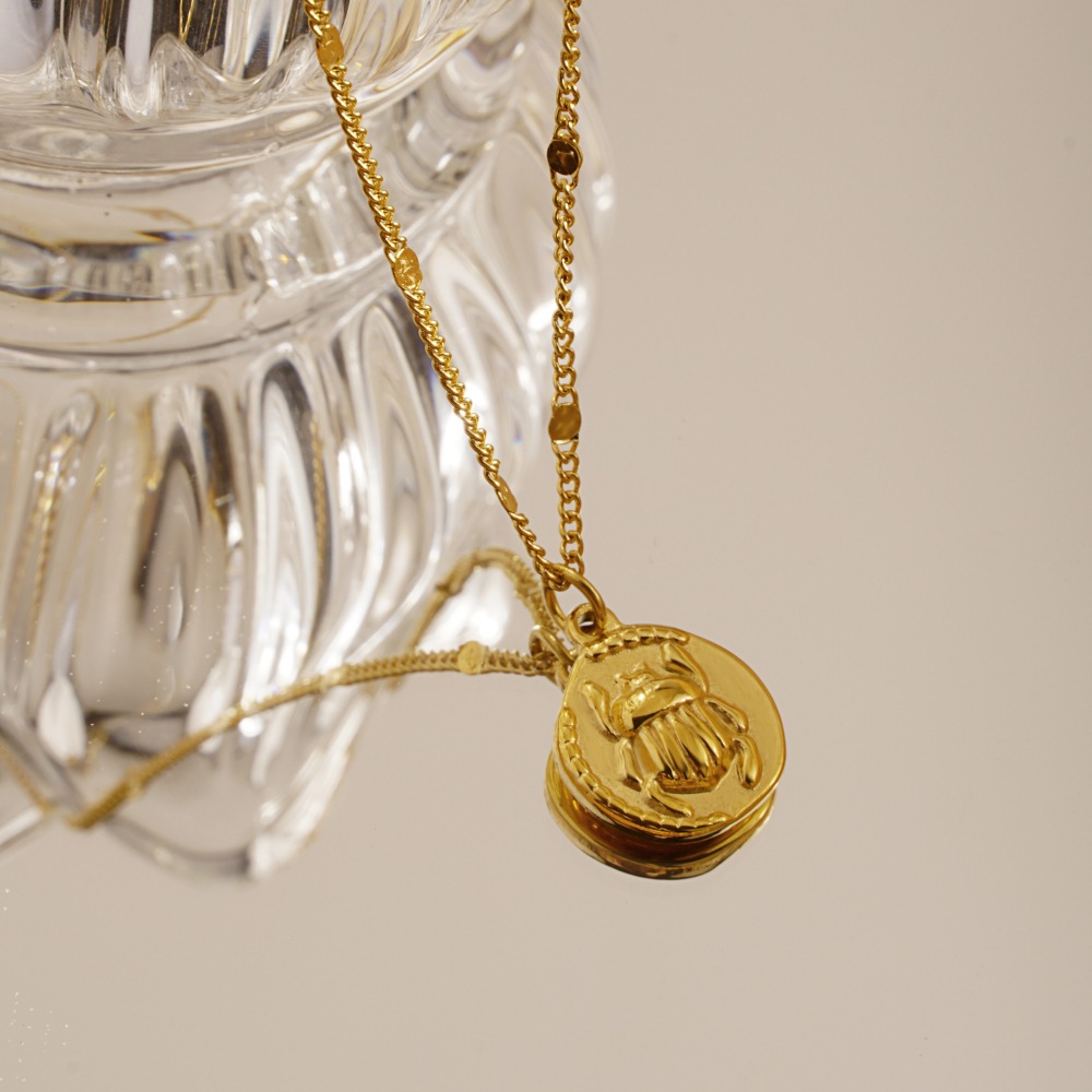 Collana da Donna in Acciaio In - Coin Necklace Delicate recensione e prezzo